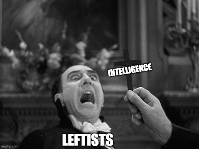 I mean...it's mostly true | INTELLIGENCE; LEFTISTS | image tagged in crucifix to a vampire,politics lol,just jokes,dont take it too seriously,leftists are quite unintelligent though | made w/ Imgflip meme maker