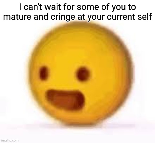 happy emoji | I can't wait for some of you to mature and cringe at your current self | image tagged in happy emoji | made w/ Imgflip meme maker