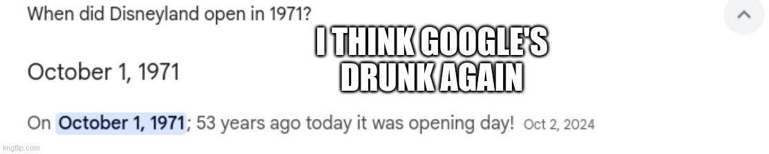 "ERM ACTUALLY WALT DISNEY WORLD OPEN IN 1971 NOT DISNEYLAND" said a disney adult | I THINK GOOGLE'S DRUNK AGAIN | image tagged in disney,google | made w/ Imgflip meme maker
