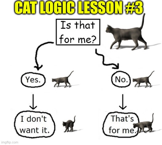 Cat Logic Lesson #3 | CAT LOGIC LESSON #3 | image tagged in cats,funny cats,life lessons,logic,funny,scumbags | made w/ Imgflip meme maker