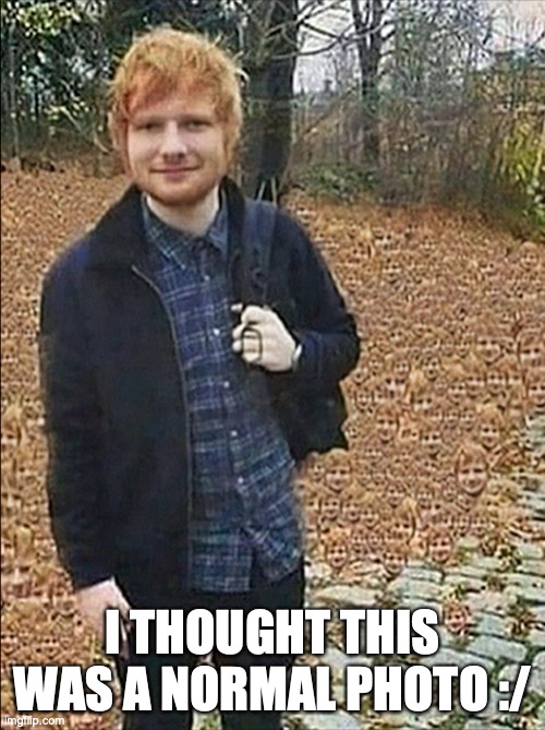 just a ginger | I THOUGHT THIS WAS A NORMAL PHOTO :/ | image tagged in british empire | made w/ Imgflip meme maker