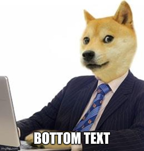 Business doge  | BOTTOM TEXT | image tagged in business doge | made w/ Imgflip meme maker