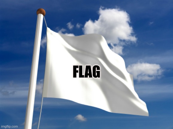 White Flag | FLAG | image tagged in white flag | made w/ Imgflip meme maker