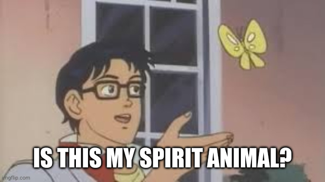 Is this my spirit animal? | IS THIS MY SPIRIT ANIMAL? | image tagged in is this my spirit animal | made w/ Imgflip meme maker