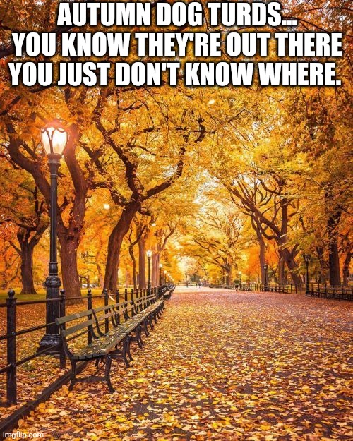 Autumn Dog Turds You Know They're Out There You Just Don't Know Where | AUTUMN DOG TURDS... YOU KNOW THEY'RE OUT THERE YOU JUST DON'T KNOW WHERE. | image tagged in chrisjoines1 | made w/ Imgflip meme maker