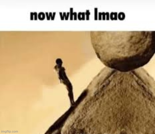 new tempm chat idgaf if dead | image tagged in now what lmao | made w/ Imgflip meme maker