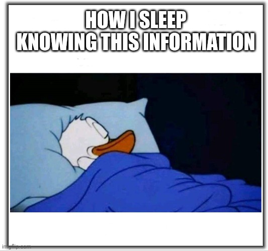 how I sleep | HOW I SLEEP KNOWING THIS INFORMATION | image tagged in how i sleep | made w/ Imgflip meme maker