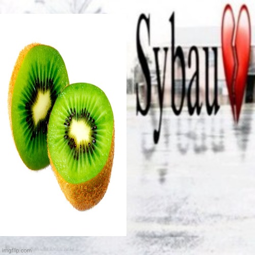 kiwi | image tagged in sybau empty | made w/ Imgflip meme maker