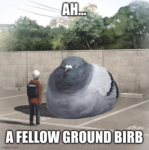 Beeg Birb | AH... A FELLOW GROUND BIRB | image tagged in beeg birb | made w/ Imgflip meme maker
