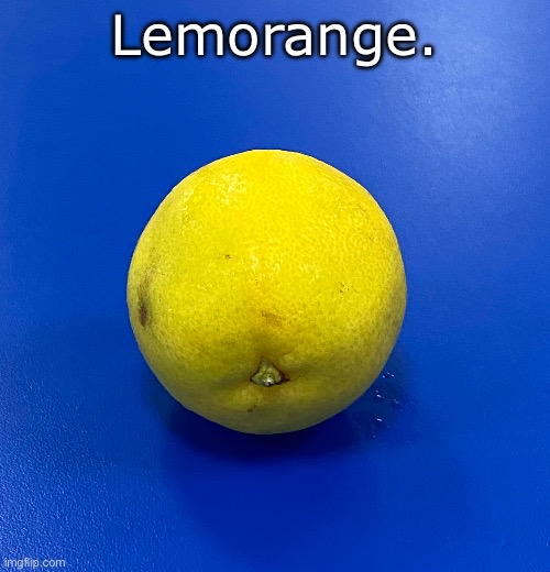 Lemorange. | Lemorange. | image tagged in memes,funny,lemon,orange,lemorange,l e m o r a n g e | made w/ Imgflip meme maker
