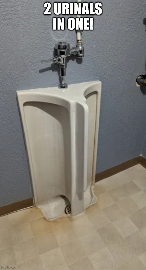 I found the world's worst urinal. | 2 URINALS IN ONE! | image tagged in urinal,weird | made w/ Imgflip meme maker