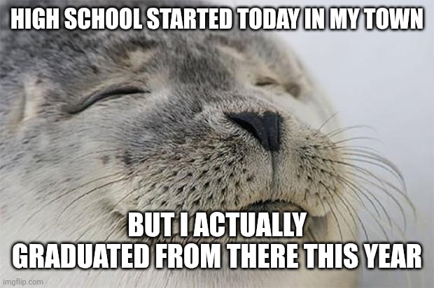 It's actually true | HIGH SCHOOL STARTED TODAY IN MY TOWN; BUT I ACTUALLY GRADUATED FROM THERE THIS YEAR | image tagged in memes,satisfied seal,school,funny | made w/ Imgflip meme maker