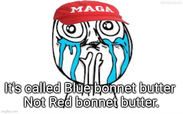 Crying Because Of Cute Meme | It's called Blue bonnet butter 
Not Red bonnet butter. | image tagged in memes,crying because of cute | made w/ Imgflip meme maker