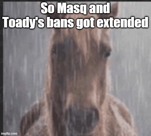 It's a shame, no great shitposts for me to steal | So Masq and Toady's bans got extended | image tagged in sad horse | made w/ Imgflip meme maker