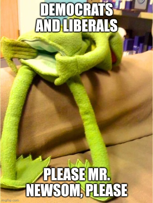 Kermit opens up | DEMOCRATS AND LIBERALS PLEASE MR. NEWSOM, PLEASE | image tagged in kermit opens up | made w/ Imgflip meme maker