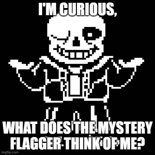 If I'm not on to see what they say, can a mod please screenshot it and comment it here? | I'M CURIOUS, WHAT DOES THE MYSTERY FLAGGER THINK OF ME? | image tagged in sans undertale | made w/ Imgflip meme maker