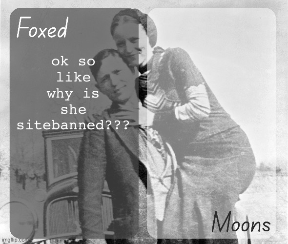 Foxed n Moons - Bonnie and Clyde temp | ok so like why is she sitebanned??? | image tagged in foxed n moons - bonnie and clyde temp | made w/ Imgflip meme maker