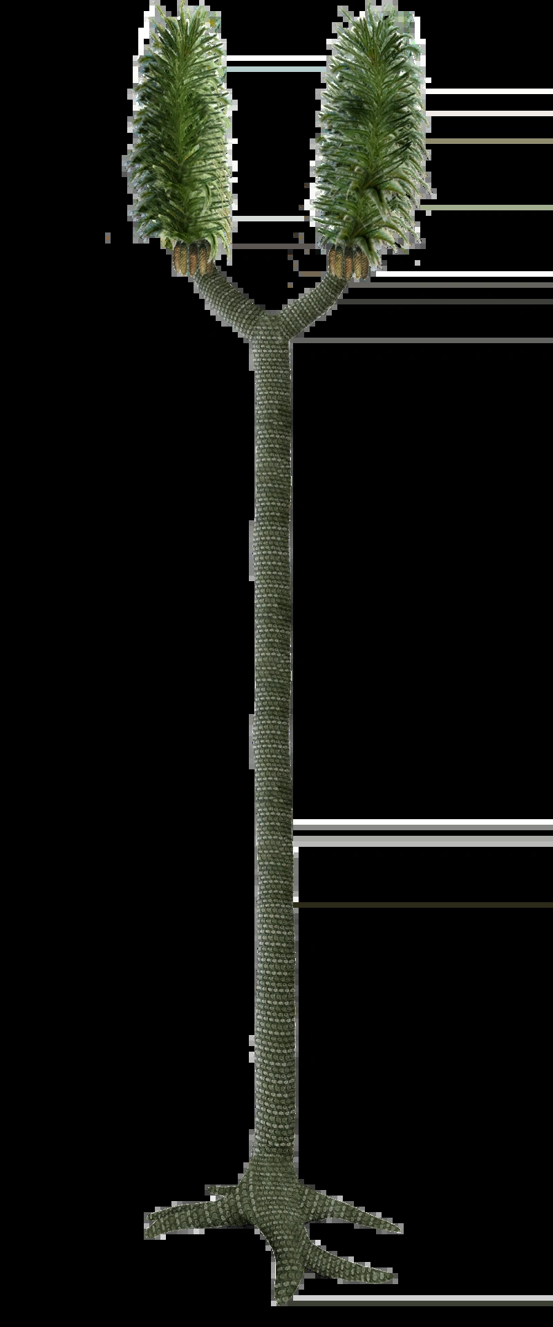 High Quality Sigillaria Blank Meme Template