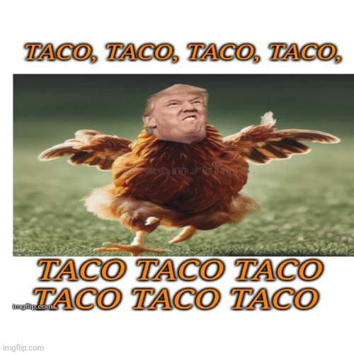 Blank Transparent Square Meme | image tagged in memes,blank transparent square | made w/ Imgflip meme maker