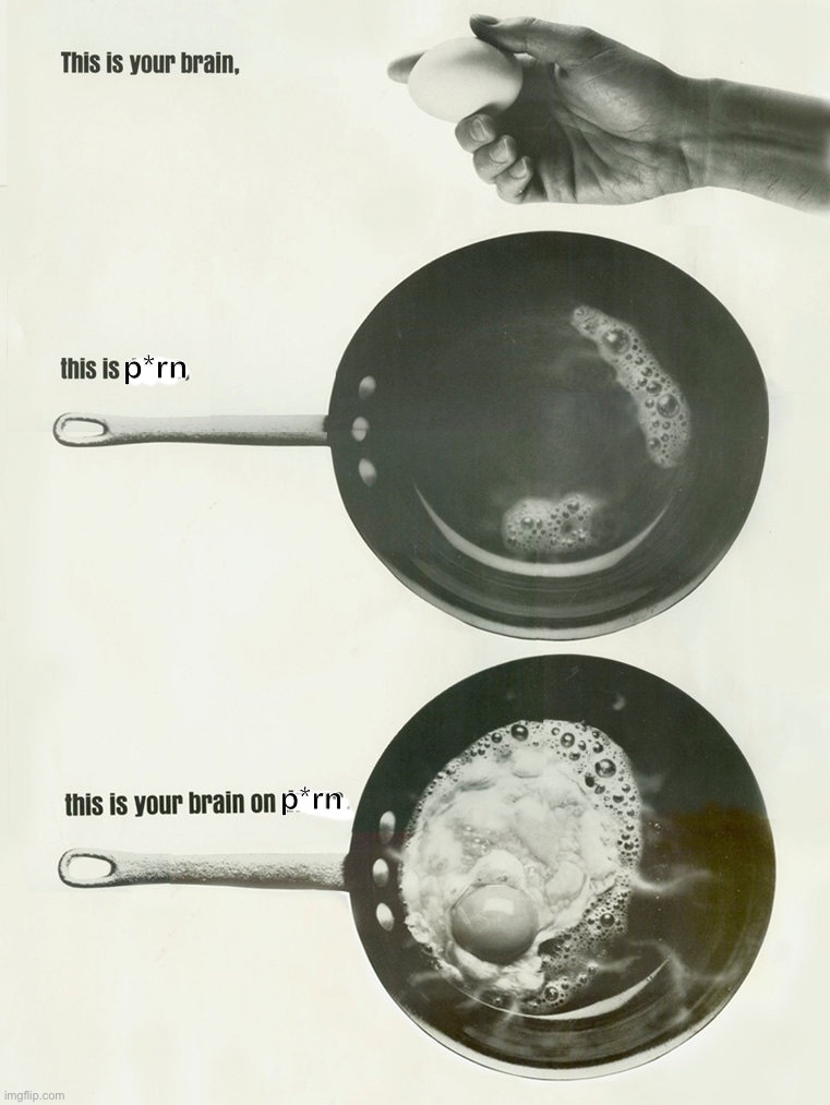 stop the p*rn addiction epidemic | p*rn; p*rn | image tagged in this is your brain on drugs | made w/ Imgflip meme maker