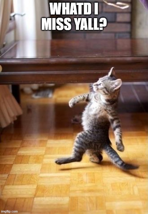 Cool Cat Stroll | WHATD I MISS YALL? | image tagged in memes,cool cat stroll | made w/ Imgflip meme maker