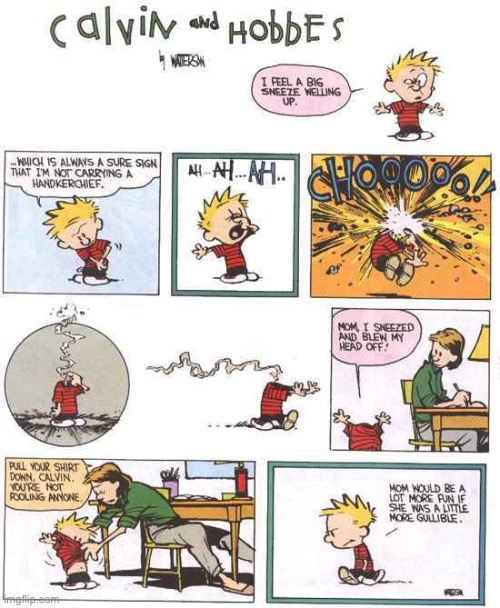 Sometimes it feels that way when you sneeze… | image tagged in calvin and hobbes,comics,sneezing,head blew off | made w/ Imgflip meme maker