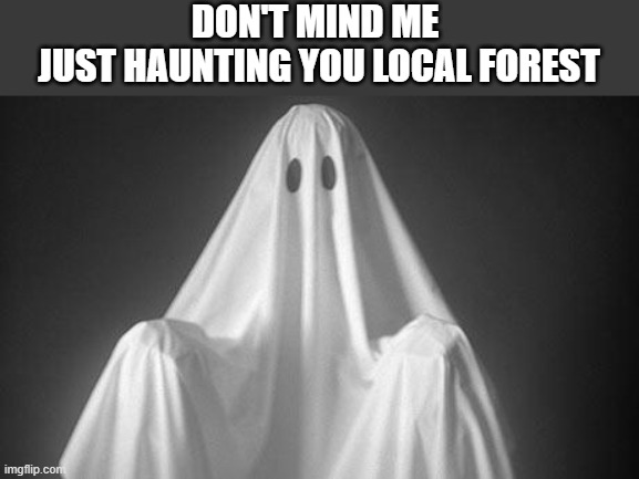 Ghost | DON'T MIND ME 
JUST HAUNTING YOU LOCAL FOREST | image tagged in ghost | made w/ Imgflip meme maker