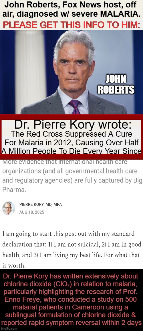 My husband recently read of this treatment that is "miraculously effective"! Please share w/ John Roberts! | John Roberts, Fox News host, off 
air, diagnosed w/ severe MALARIA. PLEASE GET THIS INFO TO HIM:; JOHN ROBERTS; Dr. Pierre Kory wrote:; The Red Cross Suppressed A Cure For Malaria in 2012, Causing Over Half A Million People To Die Every Year Since; Dr. Pierre Kory has written extensively about 

chlorine dioxide (ClO₂) in relation to malaria, 

particularly highlighting the research of Prof. 

Enno Freye, who conducted a study on 500 

malarial patients in Cameroon using a 

sublingual formulation of chlorine dioxide & 

reported rapid symptom reversal within 2 days | image tagged in john roberts,psa,information,malaria,cure,share information | made w/ Imgflip meme maker