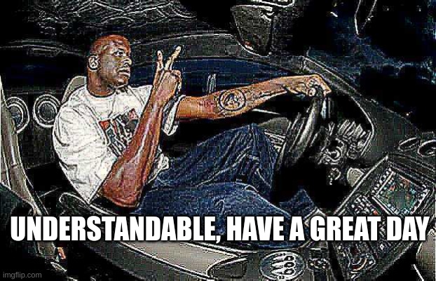 Understandable Have a Great Day but its Blank | UNDERSTANDABLE, HAVE A GREAT DAY | image tagged in understandable have a great day but its blank | made w/ Imgflip meme maker