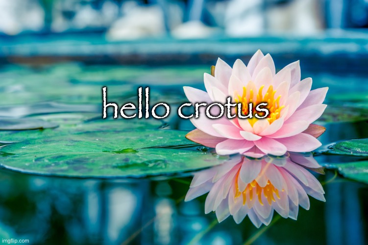 hello crotus | made w/ Imgflip meme maker