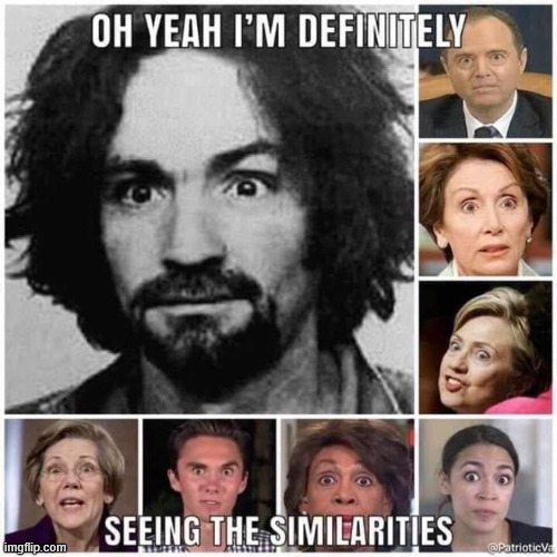 Definite similarities | image tagged in political,reposts | made w/ Imgflip meme maker