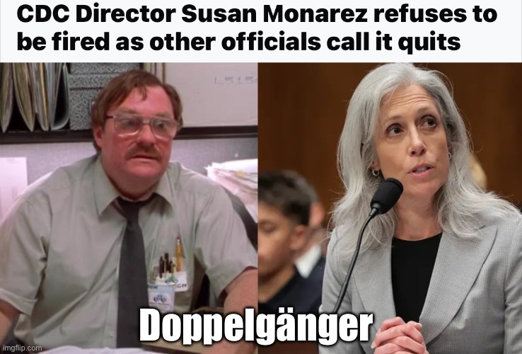 She needs a red stapler | Doppelgänger | image tagged in politics lol,memes | made w/ Imgflip meme maker