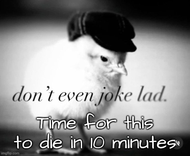 Taking mod applications ig | Time for this to die in 10 minutes | image tagged in don't even joke lad | made w/ Imgflip meme maker