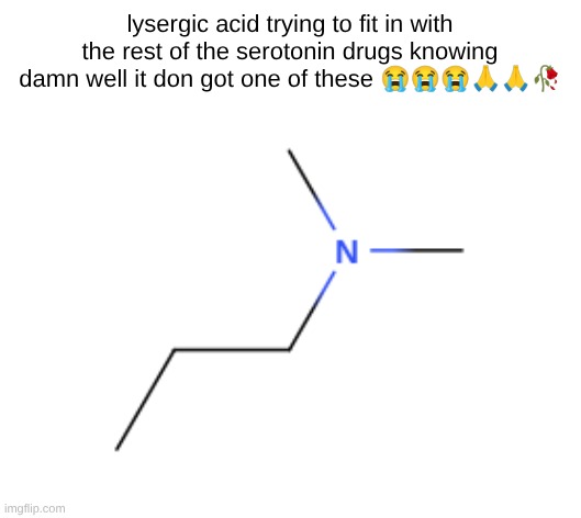lysergic acid trying to fit in with the rest of the serotonin drugs knowing damn well it don got one of these 😭😭😭🙏🙏🥀 | made w/ Imgflip meme maker