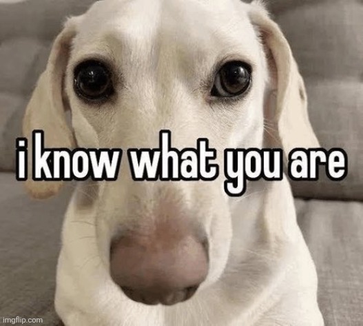 I know what you are | image tagged in i know what you are | made w/ Imgflip meme maker