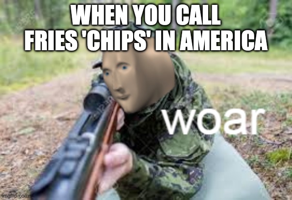 woar | WHEN YOU CALL FRIES 'CHIPS' IN AMERICA | image tagged in woar | made w/ Imgflip meme maker