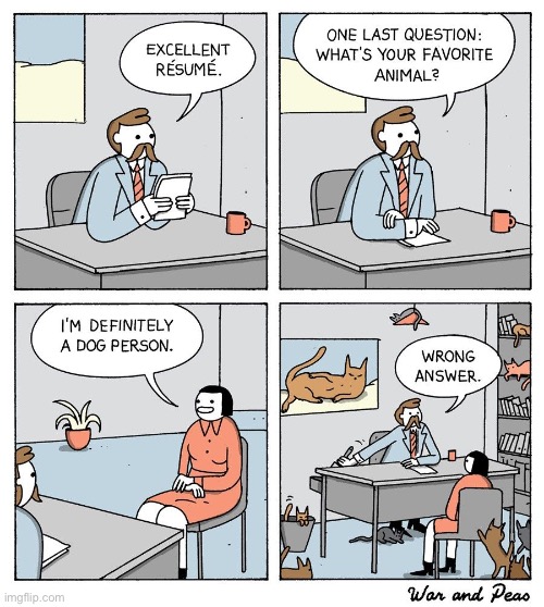 No job for you! | image tagged in cats,comics,war and peas,job interview,wrong answer | made w/ Imgflip meme maker