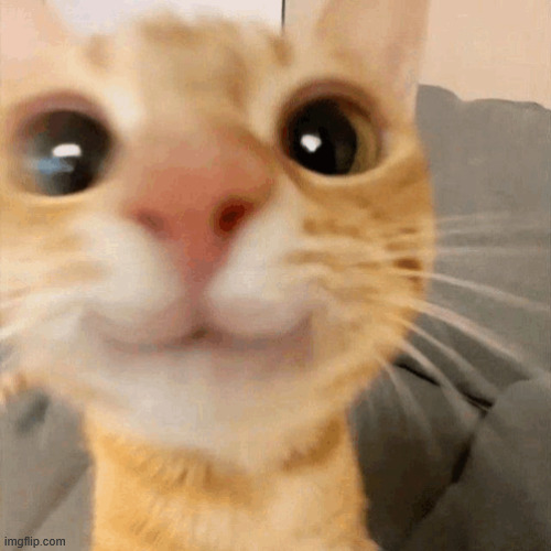 i deserve everything that's happened to me | made w/ Imgflip meme maker