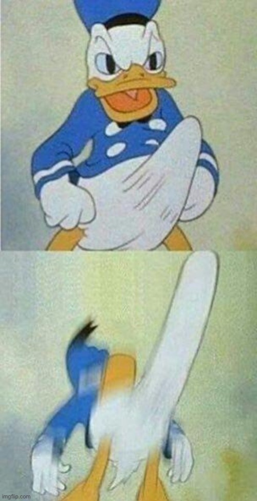 Donald Duck Boner | image tagged in donald duck boner | made w/ Imgflip meme maker