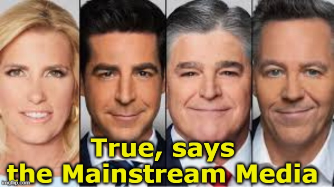 True, says the Mainstream Media | made w/ Imgflip meme maker