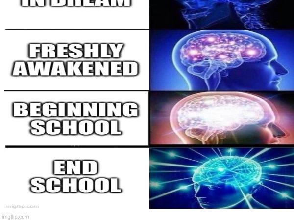Evolution | image tagged in school | made w/ Imgflip meme maker