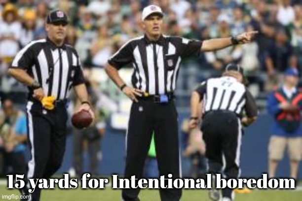 nfl referee  | 15 yards for Intentional boredom | image tagged in nfl referee | made w/ Imgflip meme maker