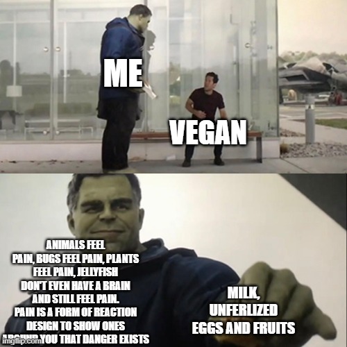 These are the ONLY things that are guilt free, becuase these are the ONLY THINGS in reality outside of dirt that is not alive. | ME; VEGAN; ANIMALS FEEL PAIN, BUGS FEEL PAIN, PLANTS FEEL PAIN, JELLYFISH DON'T EVEN HAVE A BRAIN AND STILL FEEL PAIN. PAIN IS A FORM OF REACTION DESIGN TO SHOW ONES AROUND YOU THAT DANGER EXISTS; MILK, UNFERLIZED EGGS AND FRUITS | image tagged in hulk taco | made w/ Imgflip meme maker