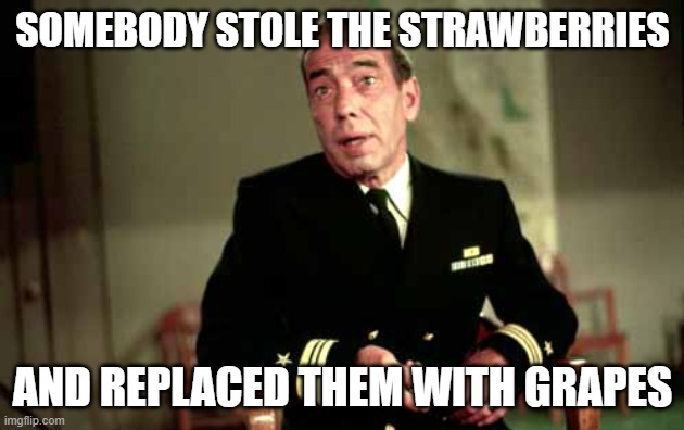 Captain Queeg | SOMEBODY STOLE THE STRAWBERRIES AND REPLACED THEM WITH GRAPES | image tagged in captain queeg | made w/ Imgflip meme maker