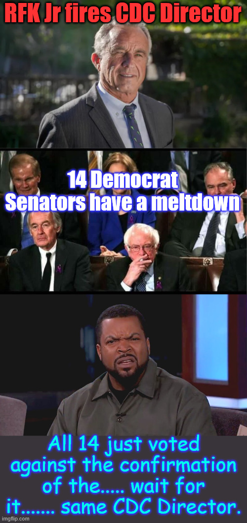 More democrat hypocrisy | RFK Jr fires CDC Director; 14 Democrat Senators have a meltdown; All 14 just voted against the confirmation of the..... wait for it....... same CDC Director. | image tagged in robert f kennedy jr,democrat senators,more democrat hypocrisy | made w/ Imgflip meme maker