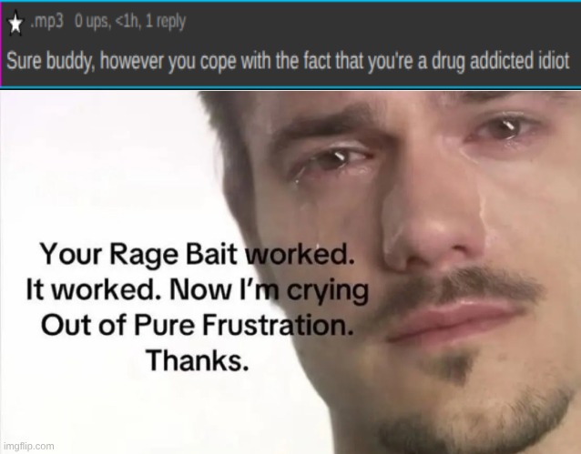 I am... SEETHING with ANGER... grrrr | image tagged in ragebait worked | made w/ Imgflip meme maker