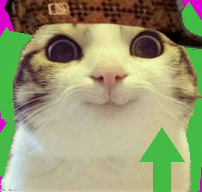 Smiling cat | image tagged in smiling cat | made w/ Imgflip meme maker