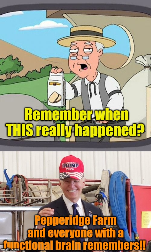 Remember when THIS really happened? Pepperidge Farm and everyone with a functional brain remembers!! | image tagged in memes,pepperidge farm remembers,biden 4 trump | made w/ Imgflip meme maker