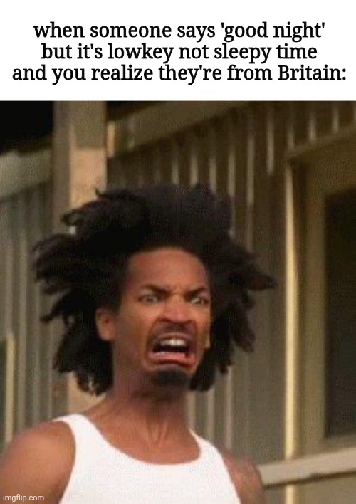 Disgusted Face | when someone says 'good night' but it's lowkey not sleepy time and you realize they're from Britain: | image tagged in disgusted face | made w/ Imgflip meme maker