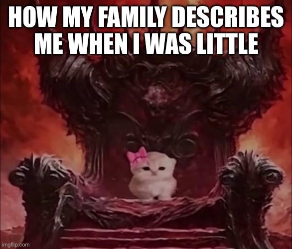 I’m sure they were exaggerating… | HOW MY FAMILY DESCRIBES ME WHEN I WAS LITTLE | image tagged in funny,fun | made w/ Imgflip meme maker